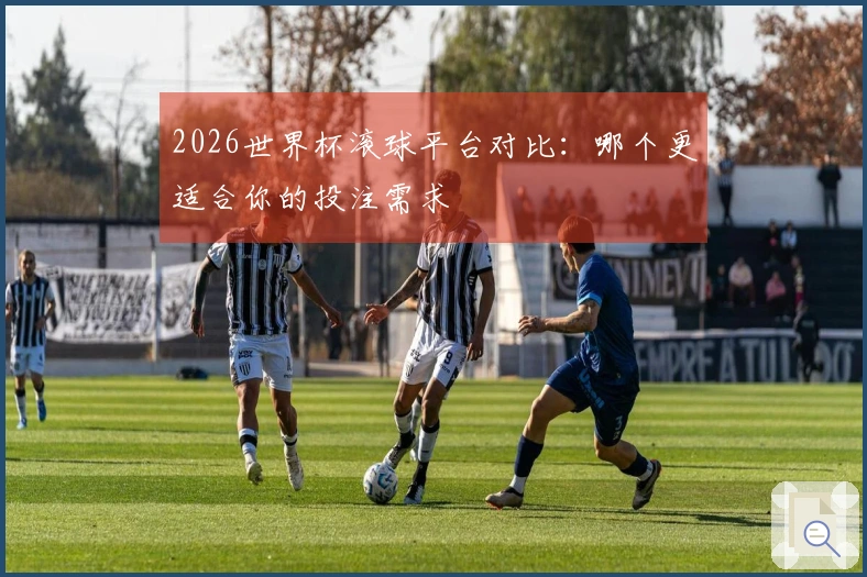 2026世界杯滚球平台对比：哪个更适合你的投注需求