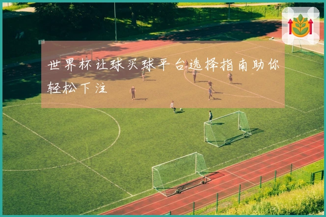 世界杯让球买球平台选择指南助你轻松下注